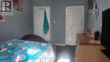 136 ESSLING AVENUE Hamilton (Crerar) Ontario photo 23