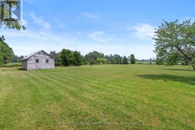 921 ROBINSON ROAD Selwyn Ontario photo 31