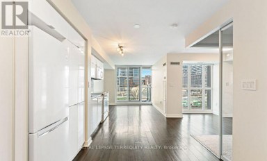 321 - 151 DAN LECKIE WAY Toronto (Waterfront Communities) Ontario photo 9