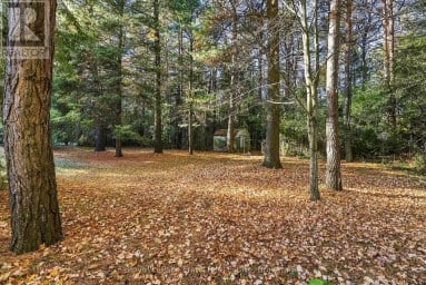 103 WAITE ROAD Kawartha Lakes (Manvers) Ontario photo 33