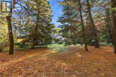 103 WAITE ROAD Kawartha Lakes (Manvers) Ontario photo 34