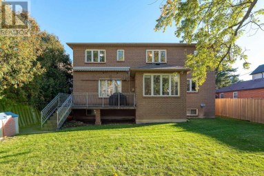 248 HADDINGTON AVENUE Toronto (Bedford Park-Nortown) Ontario photo 49