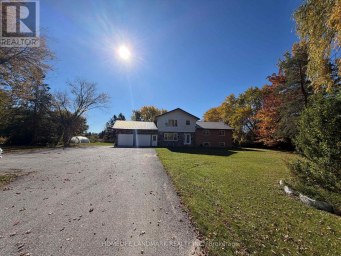 1135 RAVENSHOE ROAD S East Gwillimbury (Queensville) Ontario photo 3