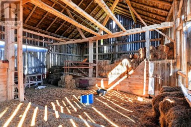 334 SILVER MAPLE ROAD Alnwick/Haldimand (Grafton) Ontario photo 37