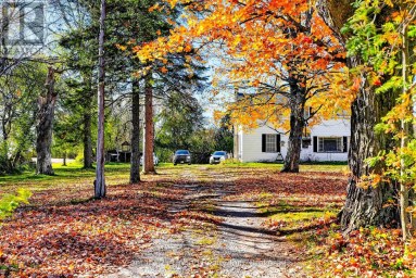 334 SILVER MAPLE ROAD Alnwick/Haldimand (Grafton) Ontario photo 4