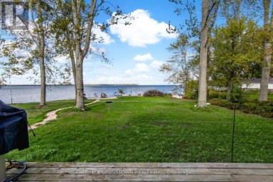 178 MOORES BEACH ROAD Georgina (Virginia) Ontario photo 11