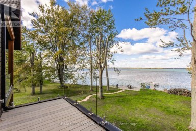 178 MOORES BEACH ROAD Georgina (Virginia) Ontario photo 41