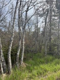 Old Mineville Road Middle Porters Lake NS photo 13