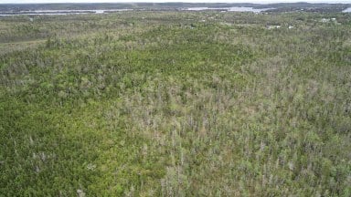 Old Mineville Road Middle Porters Lake NS photo 18