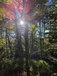 170 Paces Lake Drive Musquodoboit Harbour NS photo 13