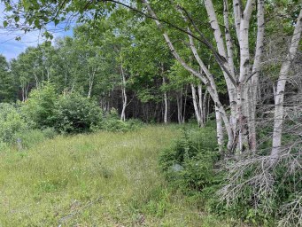 41251 Cabot Trail Wreck Cove NS photo 12