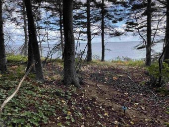 41251 Cabot Trail Wreck Cove NS photo 21