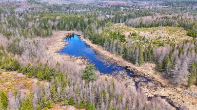 114 North Side Loch Lomond Road Loch Lomond NS photo 19