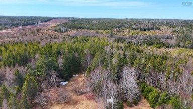 114 North Side Loch Lomond Road Loch Lomond NS photo 20