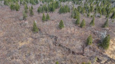 114 North Side Loch Lomond Road Loch Lomond NS photo 27