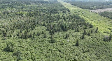 114 North Side Loch Lomond Road Loch Lomond NS photo 38