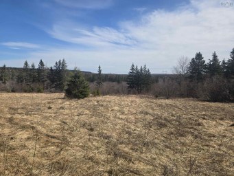 114 North Side Loch Lomond Road Loch Lomond NS photo 5