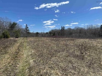 5324 Highway 3 White Point NS photo 2