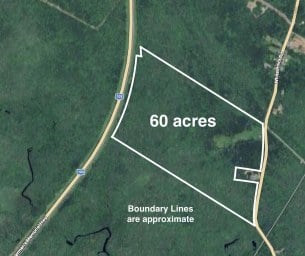 5324 Highway 3 White Point NS photo 3