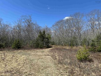 5324 Highway 3 White Point NS photo 4