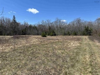 5324 Highway 3 White Point NS photo 5