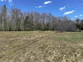 5324 Highway 3 White Point NS photo 6