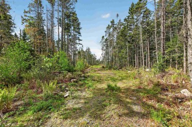 210 Moser Island Road Glen Margaret NS photo 17