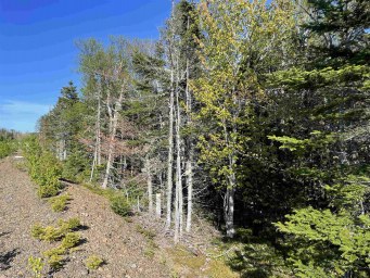 Shieling Drive Marion Bridge NS photo 16
