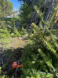 Shieling Drive Marion Bridge NS photo 17