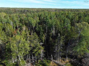 Shieling Drive Marion Bridge NS photo 9