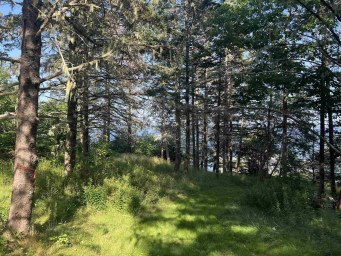 3 Chester Shore Road Chester NS photo 15