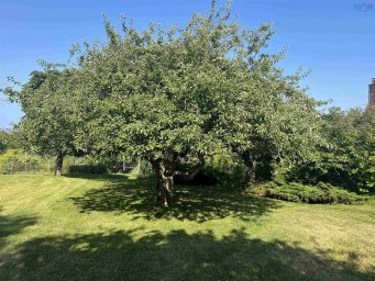 3 Chester Shore Road Chester NS photo 16