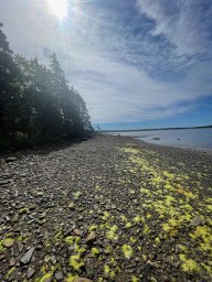 Woodenship Lane Feltzen South NS photo 9