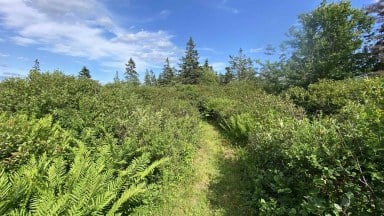 Oceanfront At Eagle Point Road Eagle Head NS photo 14