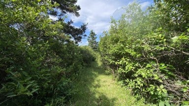 Oceanfront At Eagle Point Road Eagle Head NS photo 15