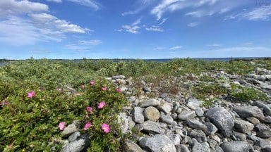 Oceanfront At Eagle Point Road Eagle Head NS photo 20