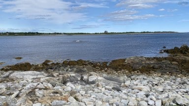 Oceanfront At Eagle Point Road Eagle Head NS photo 22