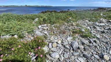 Oceanfront At Eagle Point Road Eagle Head NS photo 3