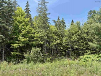 1629 West Side Middle River Middle River NS photo 10