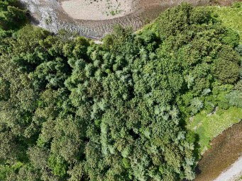 1629 West Side Middle River Middle River NS photo 17