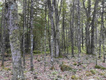 458 Scout Camp Road Greenfield NS photo 12