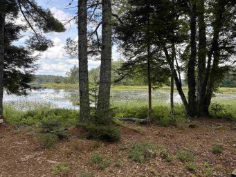 458 Scout Camp Road Greenfield NS photo 18