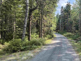 458 Scout Camp Road Greenfield NS photo 31
