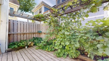 469 Main St Street Lawrencetown NS photo 22