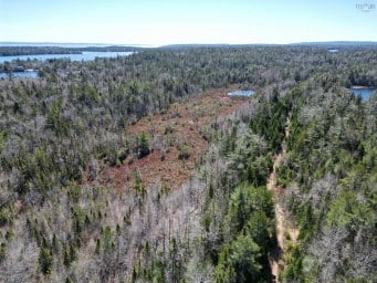 No 3 Highway Simms Settlement NS photo 11