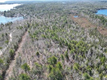 No 3 Highway Simms Settlement NS photo 12