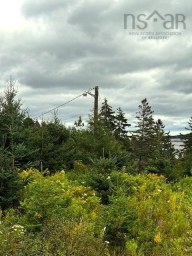 Myra Lane Bayswater NS photo 10