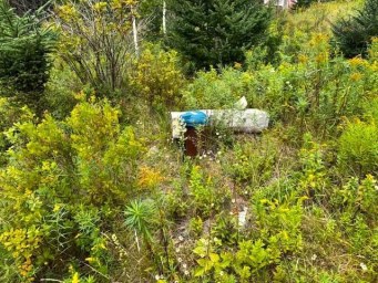 Myra Lane Bayswater NS photo 2