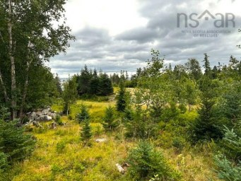 Myra Lane Bayswater NS photo 5