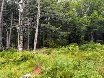 Myra Lane Bayswater NS photo 7